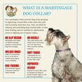thumbnail image 5 of Country Brook Petz® HossFit Jr Wide Martingale Dog Collar, Pineapple Sunset, Large, 5 of 6