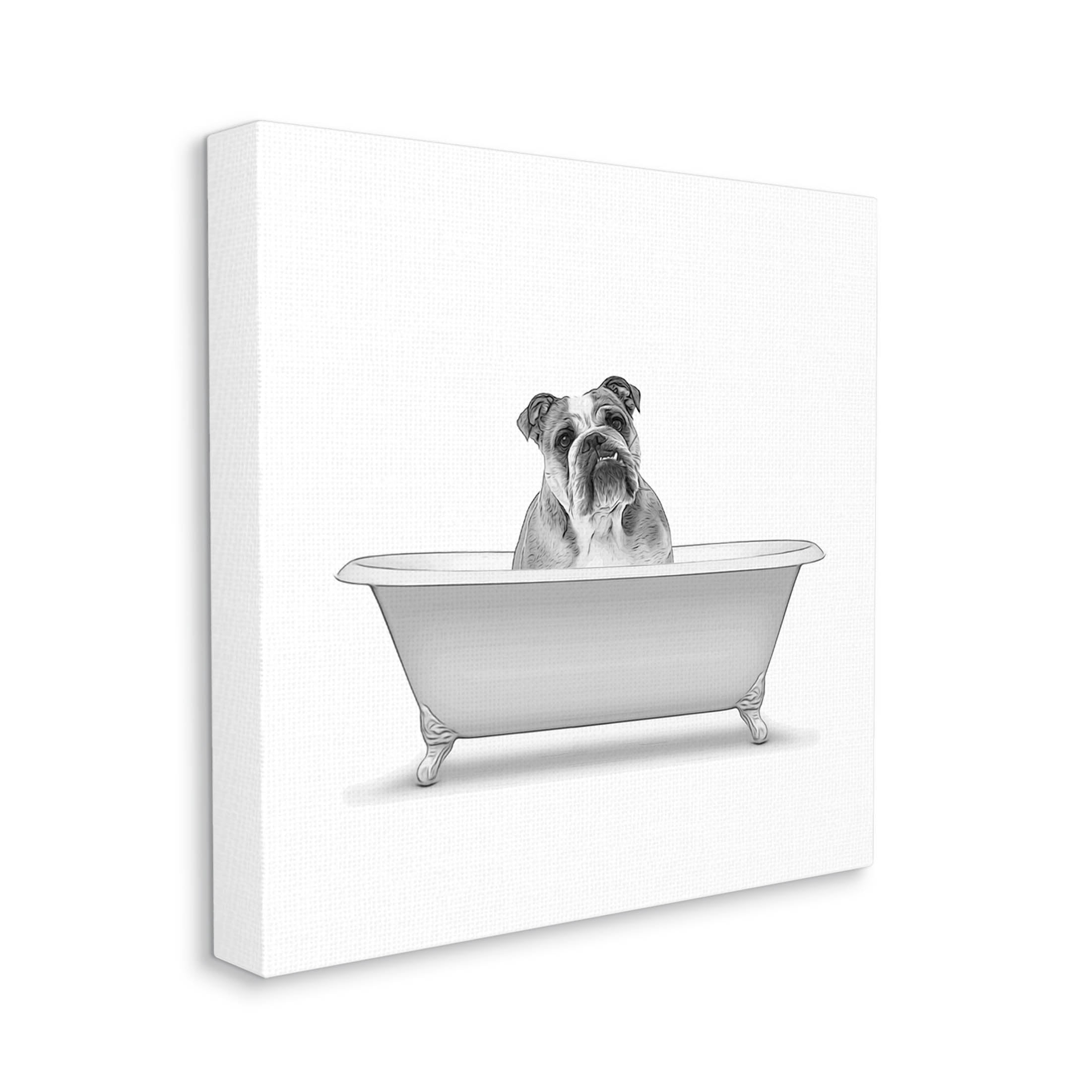 Stupell Industries English Bulldog Dog Bath Tub Graphic Art Gallery Wrapped Canvas Print Wall Art, Design by Annalisa Latella