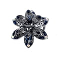 thumbnail image 2 of Pinza para el pelo Sonducket Clip conveniente azul, 2 of 6