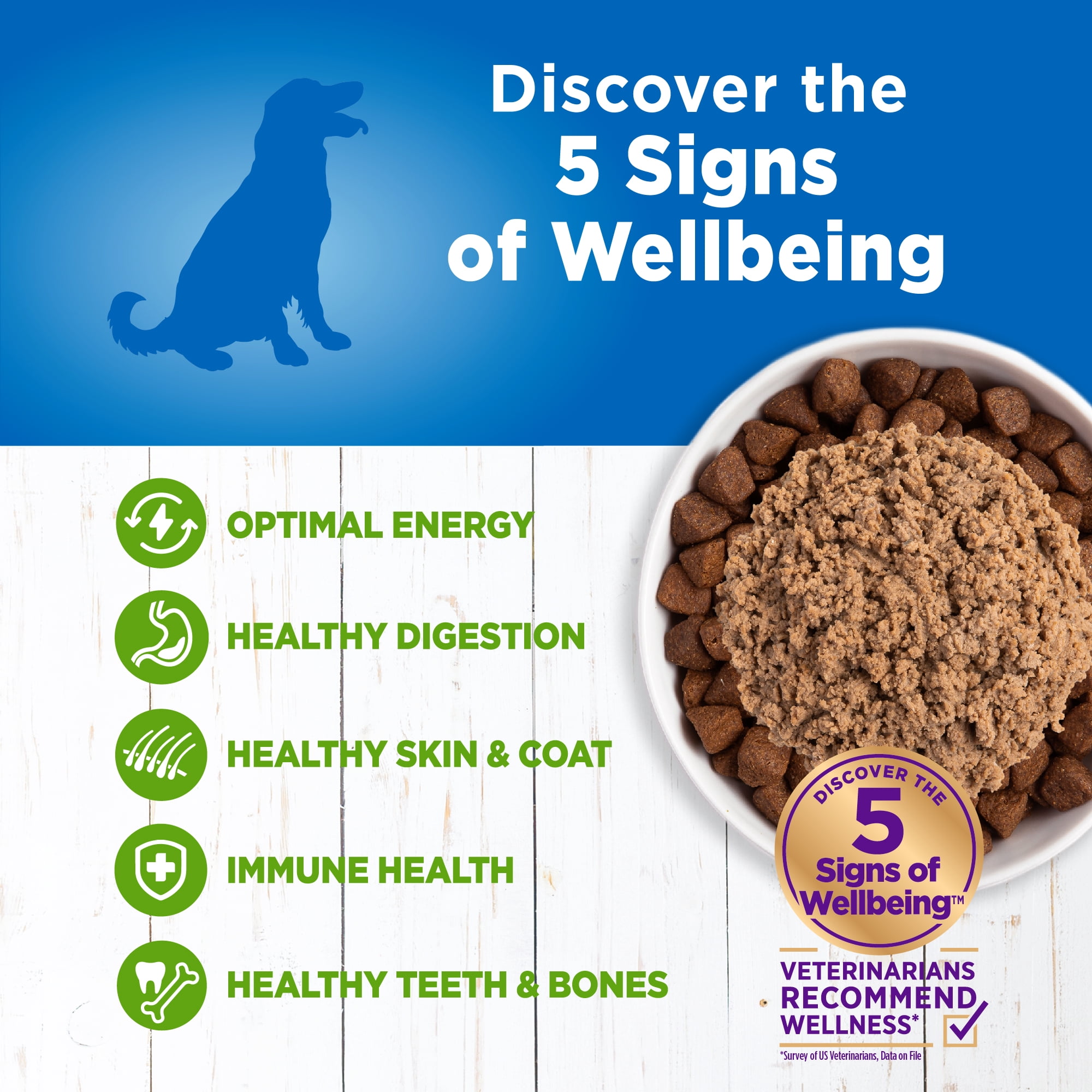 Wellness Simple Natural Wet Canned Limited Ingredient Dog Food, Lamb & Oatmeal, 12.5-Ounce Can (Pack of 12)