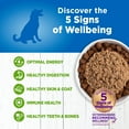thumbnail image 2 of Wellness Simple Natural Wet Canned Limited Ingredient Dog Food, Lamb & Oatmeal, 12.5-Ounce Can (Pack of 12), 2 of 7