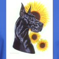 thumbnail image 3 of CafePress - C Blk Sunflower Dark T Shirt - Men's Classic Graphic Cotton T-Shirt, 3 of 4