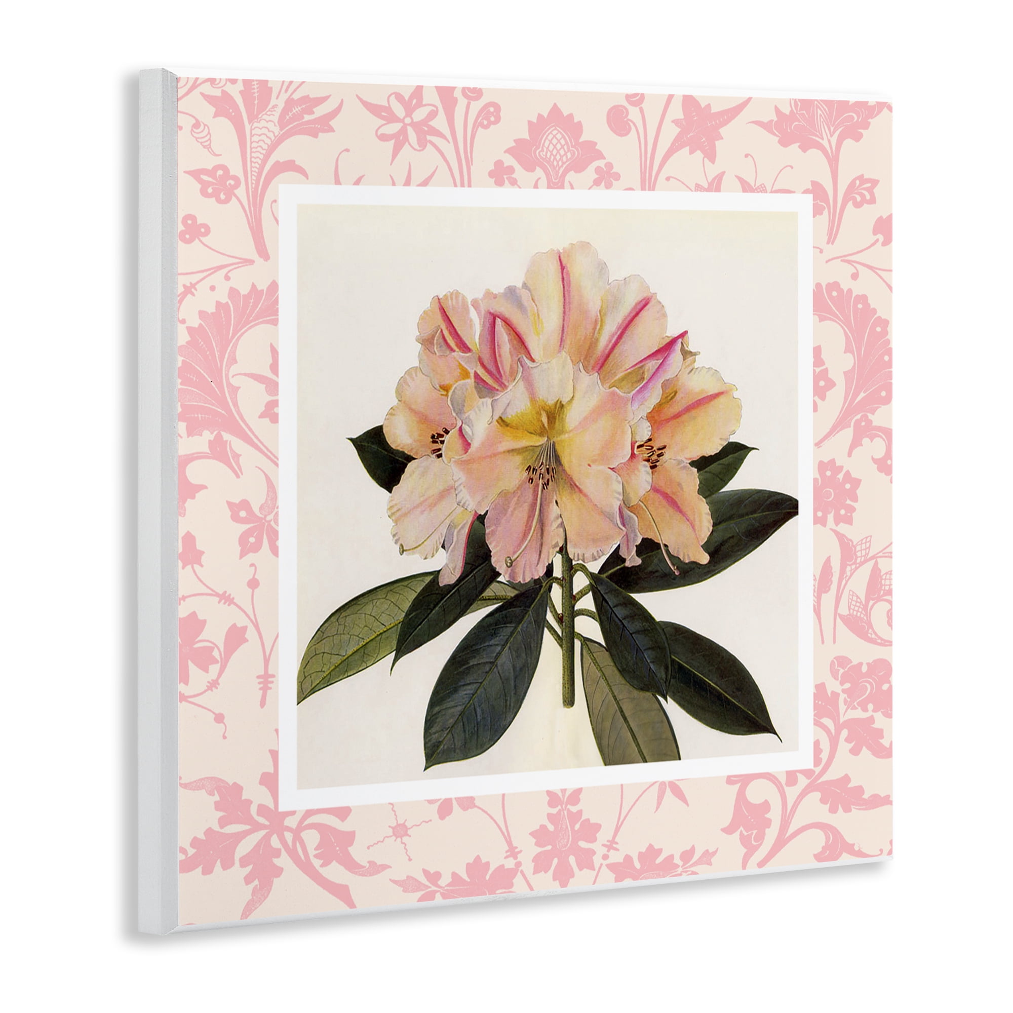 Stupell Industries Pink Vintage Pattern Botanical Wall Plaque Art, design by Livi Finn