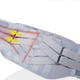 thumbnail image 2 of Minnieouse Cinturón multifuncional de soporte para espalda y cintura para deportes y diario correa ajustable de soporte Lumbar Suministros de ortodoncia Gris + Estera l, 2 of 6