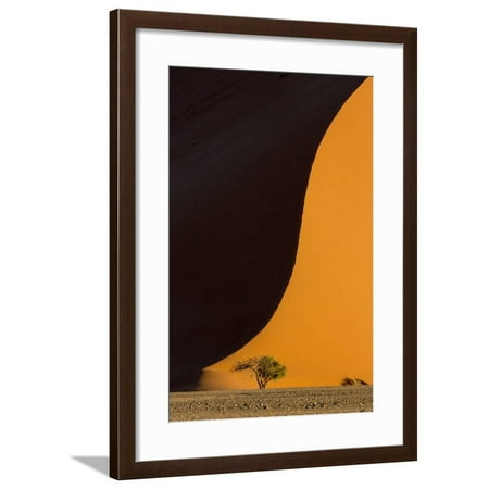 Namibia, Namib-Naukluft Park. Side-Lit Sand Dune and Tree Framed Print Wall Art By Wendy