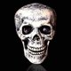 thumbnail image 3 of Estacas De Esqueleto Realista, Cabeza De Plástico, Hueso Del Brazo, Decoraciones De Halloween Para Estacas De Césped, Jardín, Decoración De Esqueleto De Halloween Moyic HA037103-00, 3 of 6