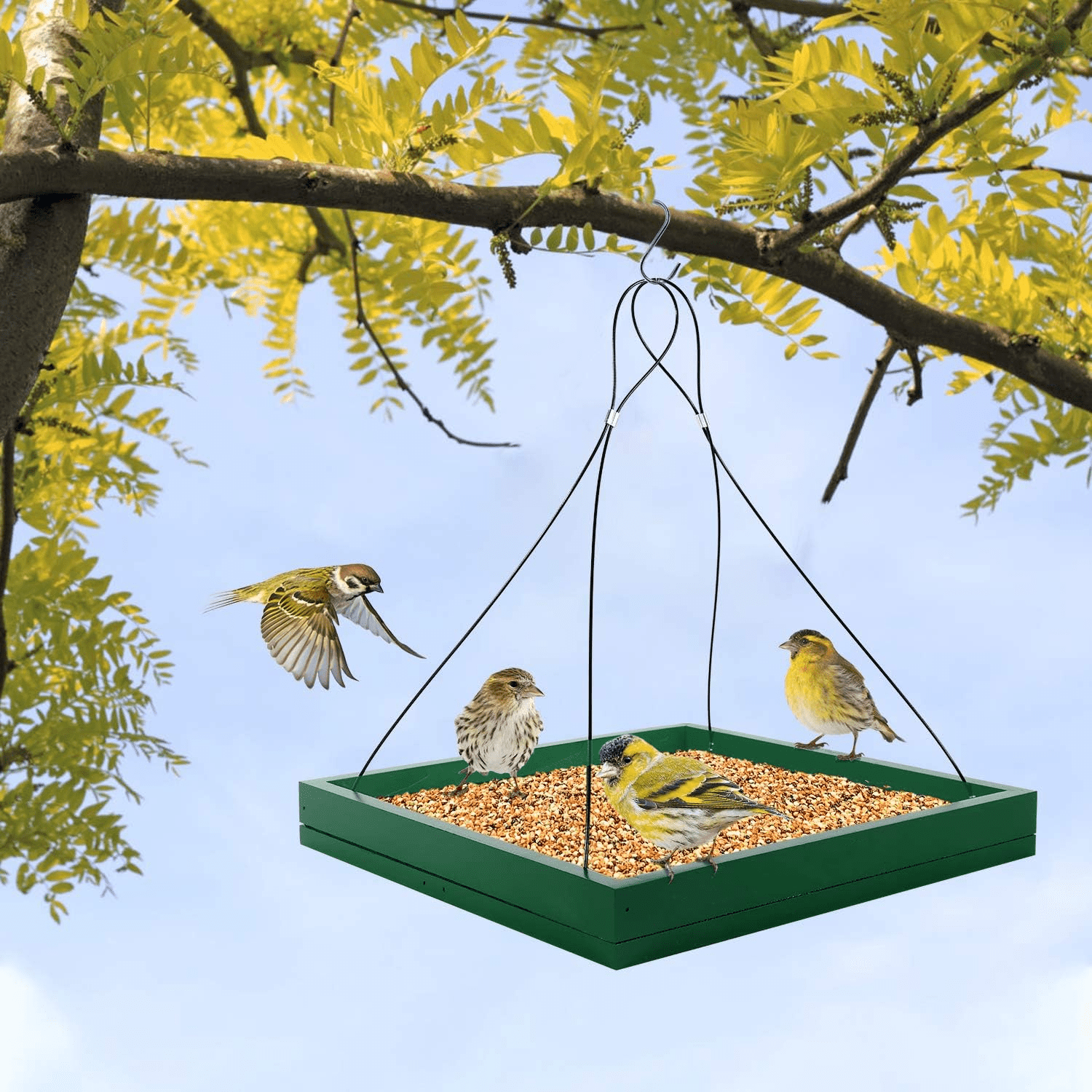SNYNUXX Bird Feeder Hanging Tray, Seed Tray Wooden Platform Hummingbird Feeder Hanging Tray Mesh Seed Platform for Garden Yard Outside Decoration Attracting for Wild Birds (Green)-2pk