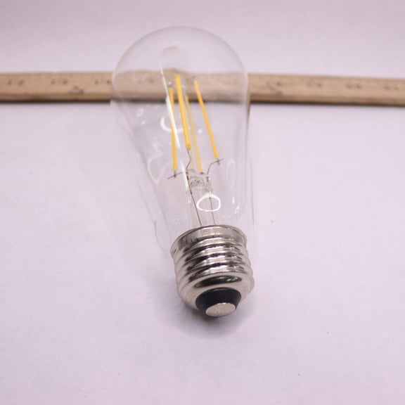 Feit Electric Dimmable LED Light Bulb Clear Warm White ST19 2100K 9W 120V