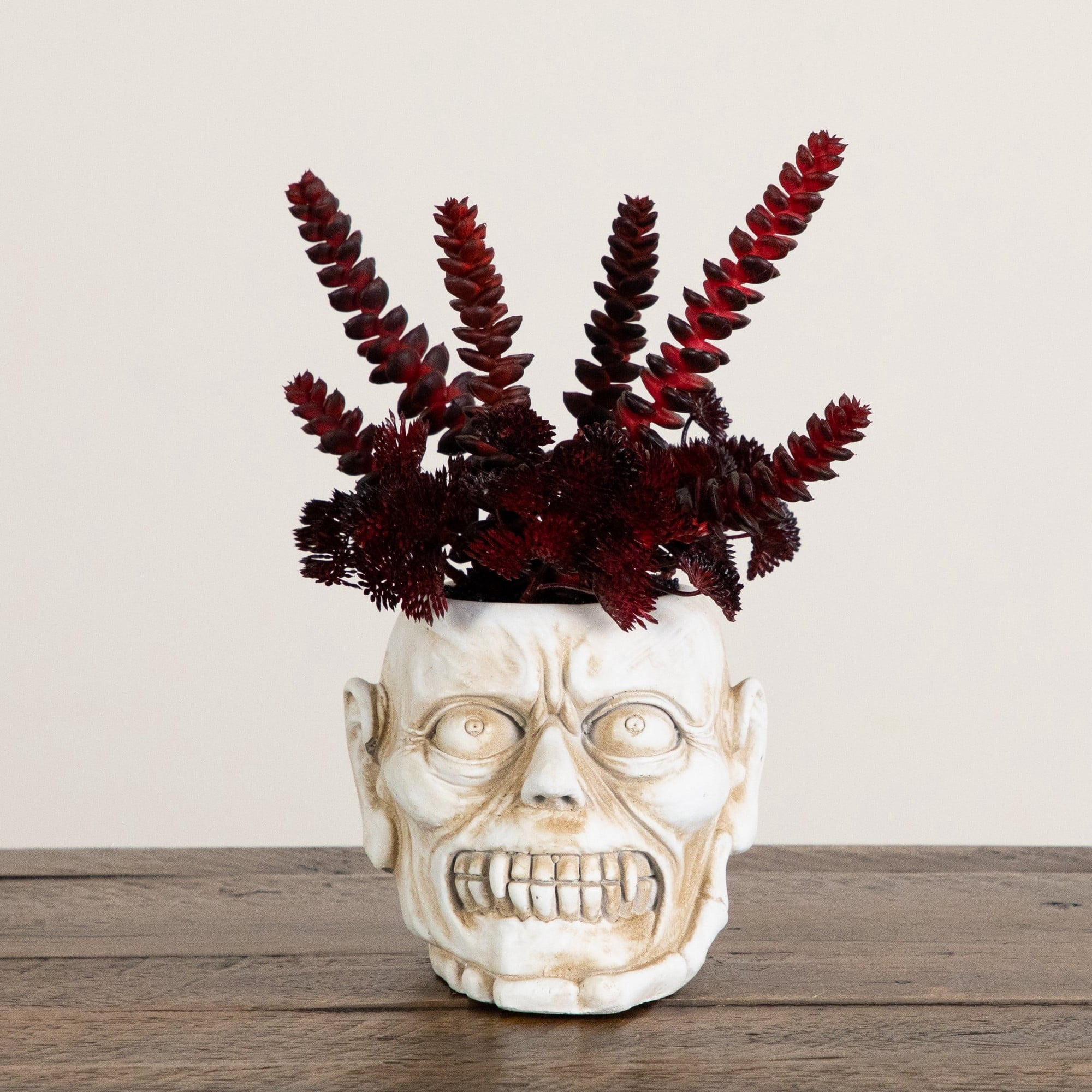 10in. Artificial Halloween Succulent Plant in Zombie Halloween Planter