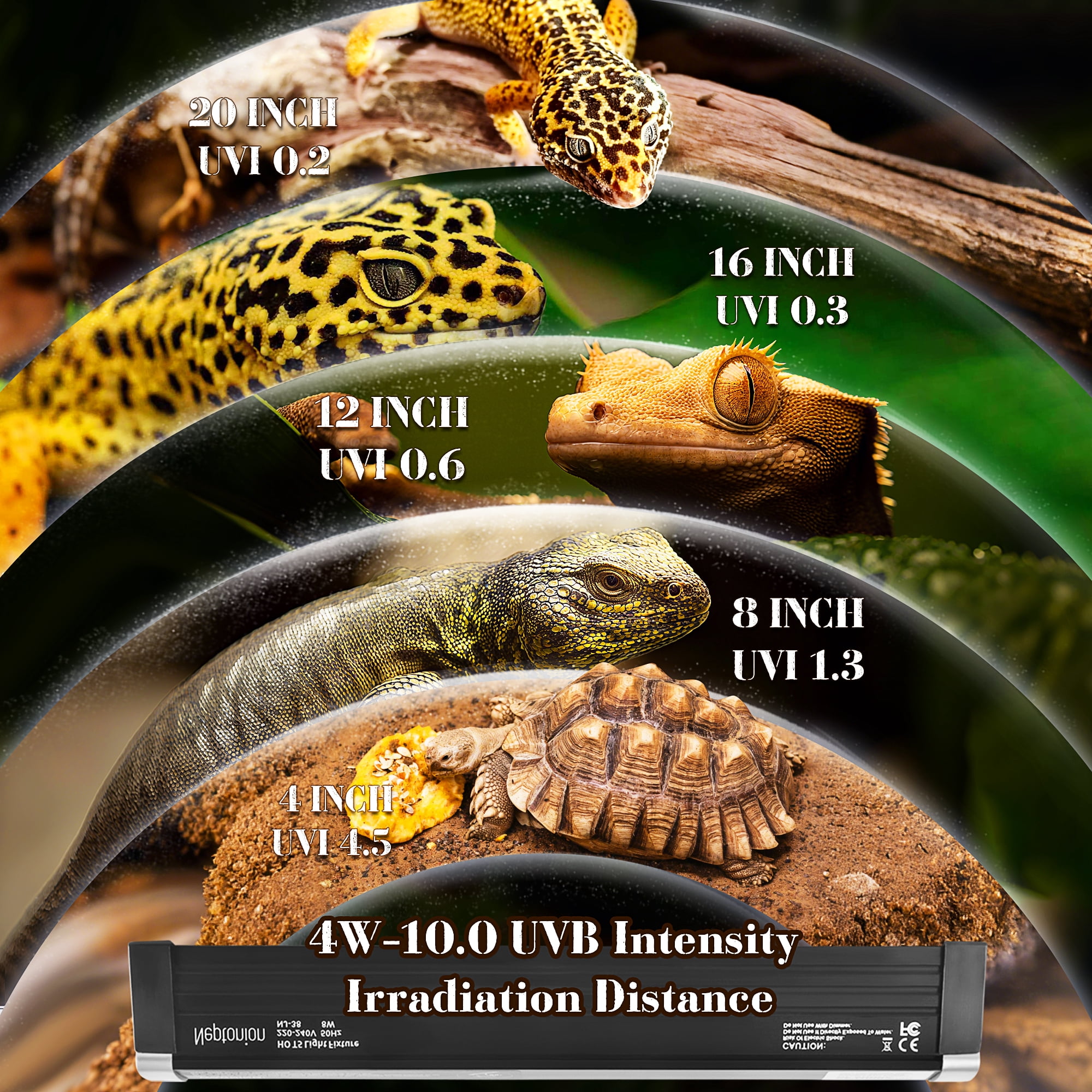 NEPTONION T5 HO UVB Reptile Light Hood, 4W Reptile Terrarium Hood with UVB 10.0 Fluorescent Lamp Tube, Suitable for Desert Reptiles(4W,6.5 Inches)