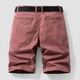 thumbnail image 3 of Thanksgiving Decoration Swimming Shorts for Men Ndbuld Men's Plus Size Cargo Shorts Multi-Pockets Relaxed Summer Beach Shorts Pants Pink XL, 3 of 3