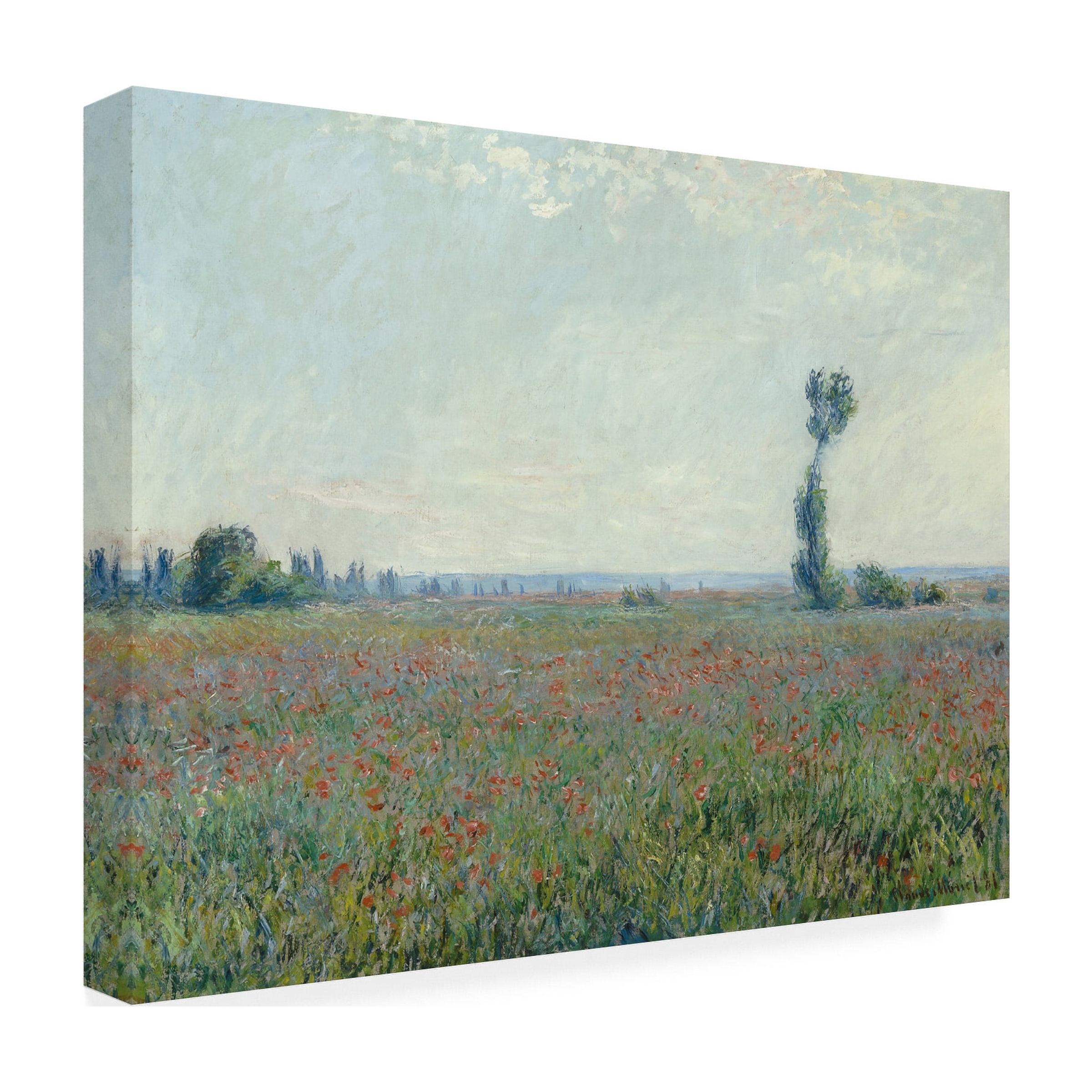 Monet 'Poppy Field' Canvas Art