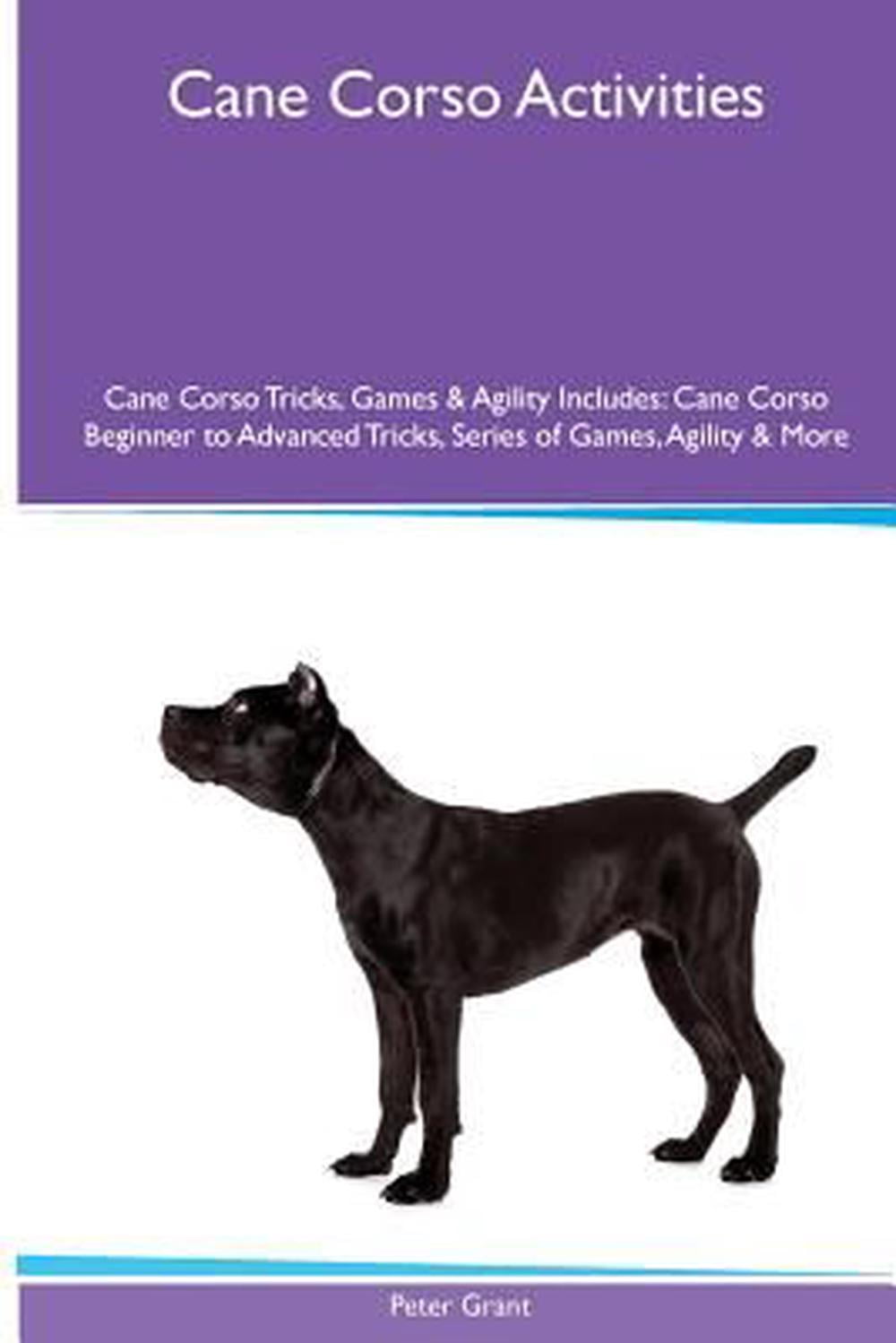 Cane Corso Activities Cane Corso Tricks, Games & Agility. Includes