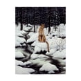 thumbnail image 1 of Trademark Fine Art 'Cougar' Canvas Art by Jeff Tift, 1 of 3