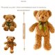 thumbnail image 5 of Oso de peluche marrón de 11.8 pulgadas, lindo y suave oso de peluche, regalo para niños., 5 of 5