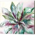 thumbnail image 1 of Succulent Watercolor II by Tre Sorelle Studios, Canvas Wall Art, 1 of 1