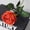A2, variant on 5Pc Roses Artificial Flowers,20" Artificial Silk Bobo Ball Bouquet Flowers,Simulation Rose Flower Decor for Valentines Day,Props Imitation Rose,Wedding