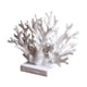 thumbnail image 2 of Centro de mesa con decoración de coral para el hogar, estilo náutico, costero y mediterráneo. Blanco, 2 of 3
