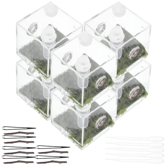 LAMIRO 2 Sets Terrarium Reptile Enclosure Jumping Spider Breeding Box Feeding Animal Acrylic