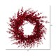 thumbnail image 3 of Corona Artificial de Eucalipto con Brillo Roja Vickerman 61 cm, 3 of 4
