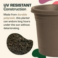 thumbnail image 3 of Rugg 7772486 Polyresin Planter - Cappuccino, 3 of 6