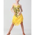 thumbnail image 6 of Whitewed Fringed Salsa Ballroom Dance Latin Dresses for Women Performance Gold, 6 of 6