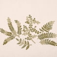 thumbnail image 2 of Galaxy Embroidered Fingertip Towel - White, 2 of 3
