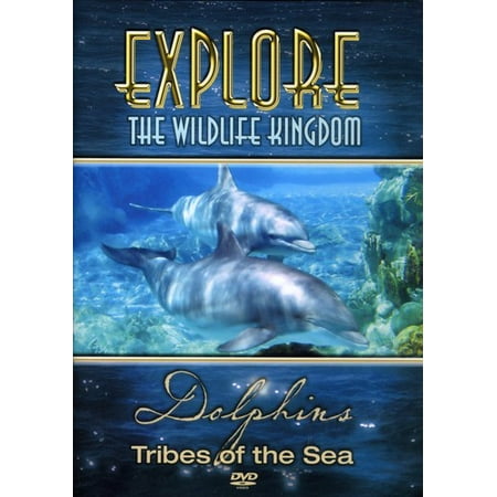 Explore the Wildlife Kingdom: Dolphins Tribes of the Sea (The Best Wildlife Documentaries)