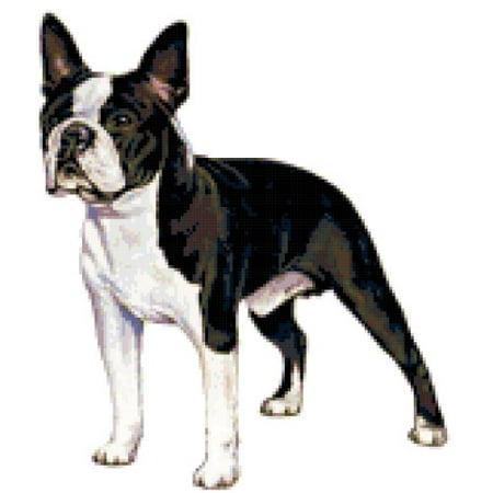 - Boston Terrier Dog Counted Cross Stitch Pattern