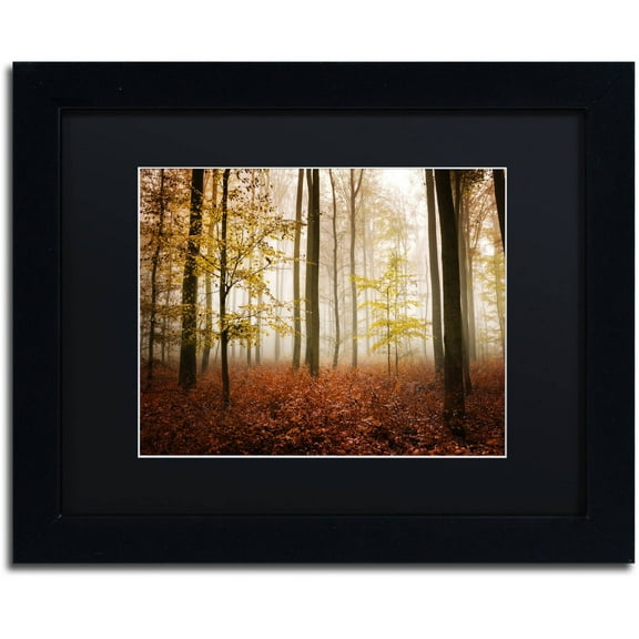 Trademark Fine Art "Calmness" Canvas Art by Philippe Sainte-Laudy Black Matte, Black Frame