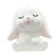 thumbnail image 1 of Small Cute Rabbit Gardening Succulents Resin Decorative Ornaments, 1 of 3