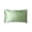 Green, variant on Velvet Pillowcase Standard Size Soft Plush, Envelope Closure Pillow Cover Smooth Texture, Hair Care Anti Frizz Skin Friendly Pillowcase, Cozy Durable Dorm Bedroom Bedding Pillowcase