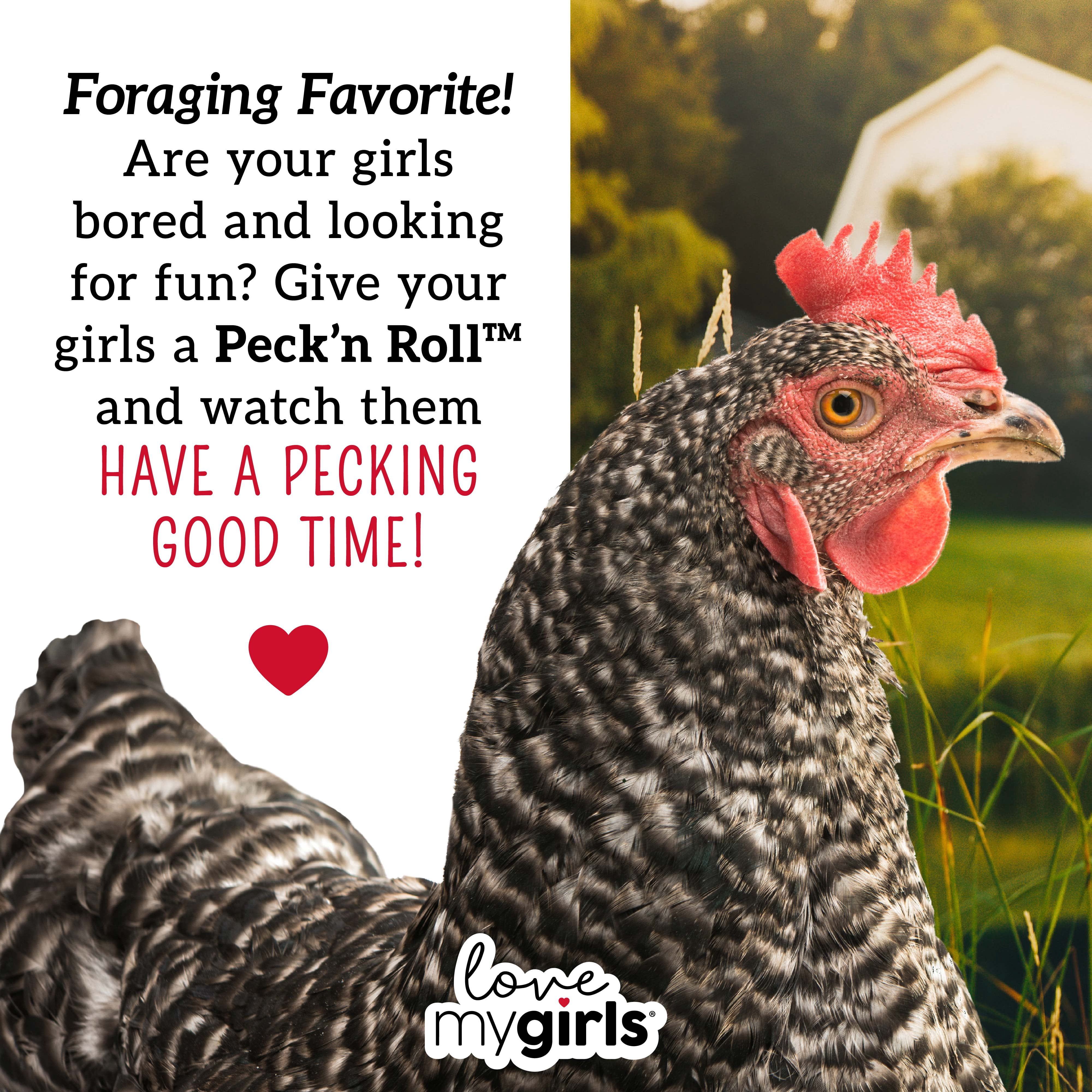 Love My Girls Peck 'N Roll Boredom Buster for Chickens, 2.5 lb. Seed Log, 1-Pack
