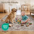 thumbnail image 4 of ODIKA 4'x6' Ultra-Soft Area Rug, Distressed Vintage Trellis Boho Clusters Vine Border Scroll Pink Flowing Dynamic None Washable, Bare feet friendly, Silk-Touch for Bedroom Home office, 4 of 7