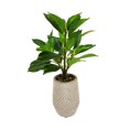 thumbnail image 3 of Lerman Decor's slim plant in zigzag pot, 3 of 5