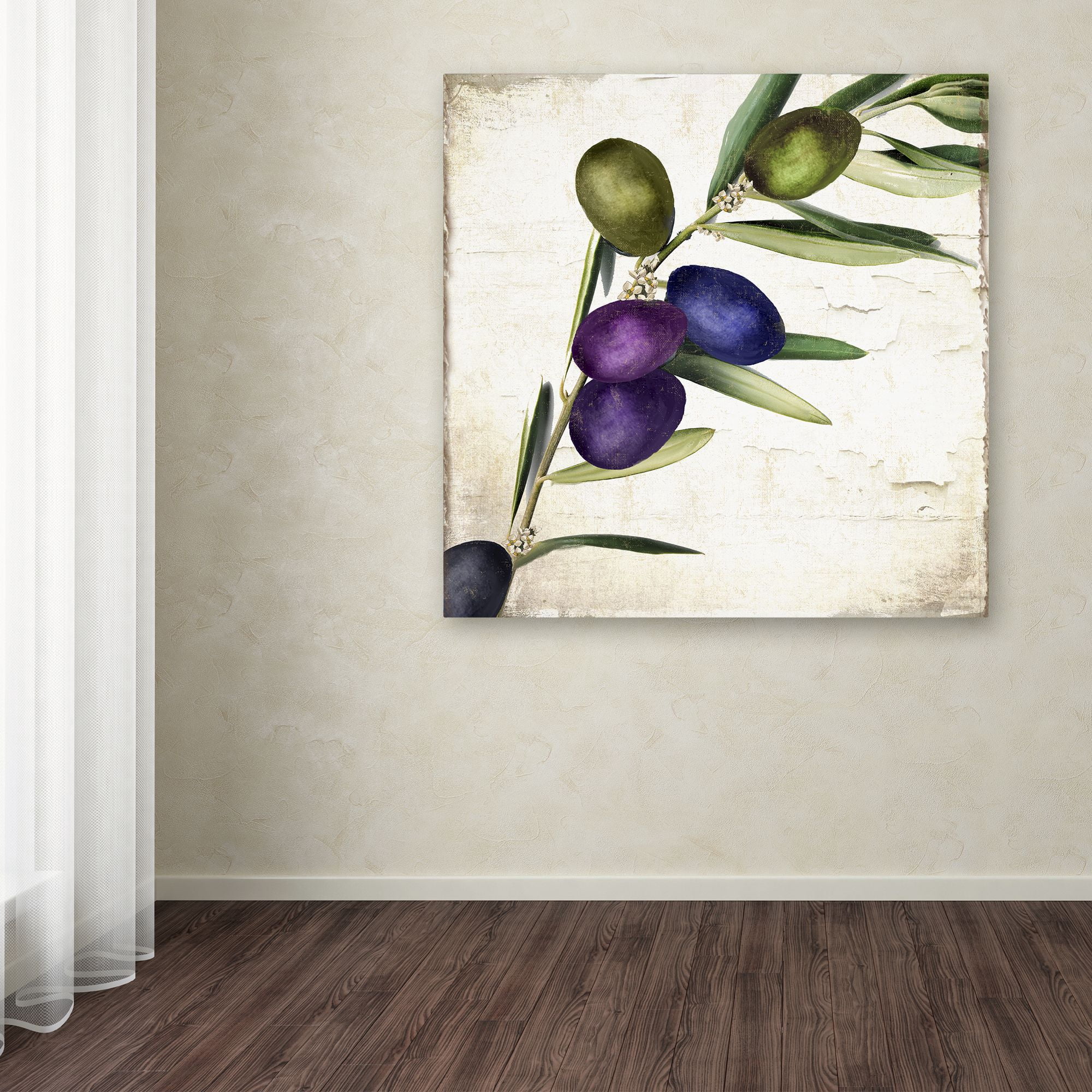Trademark Fine Art "Olive Branch III" Canvas Art by Color Bakery