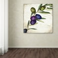 thumbnail image 4 of Trademark Fine Art "Olive Branch III" Canvas Art by Color Bakery, 4 of 4