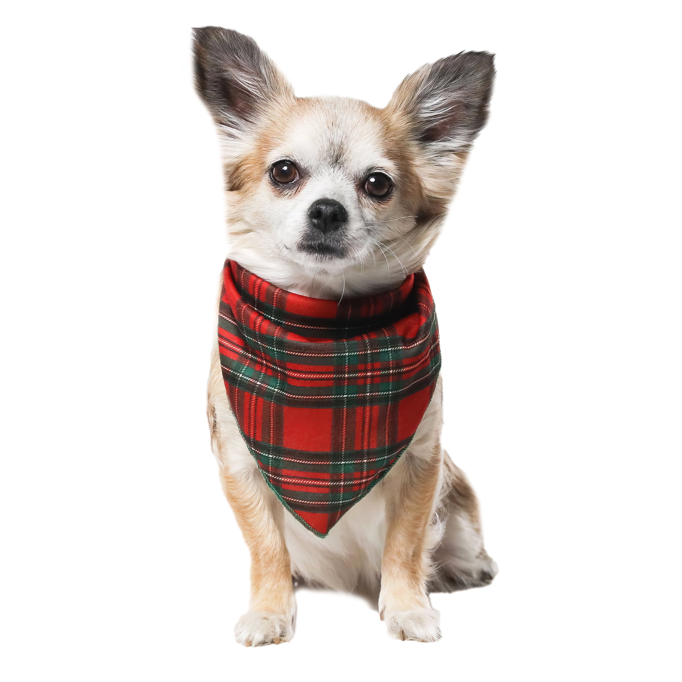 Vibrant Life Dog Clothes Red & Green Plaid Dog Bandana, Size XSS