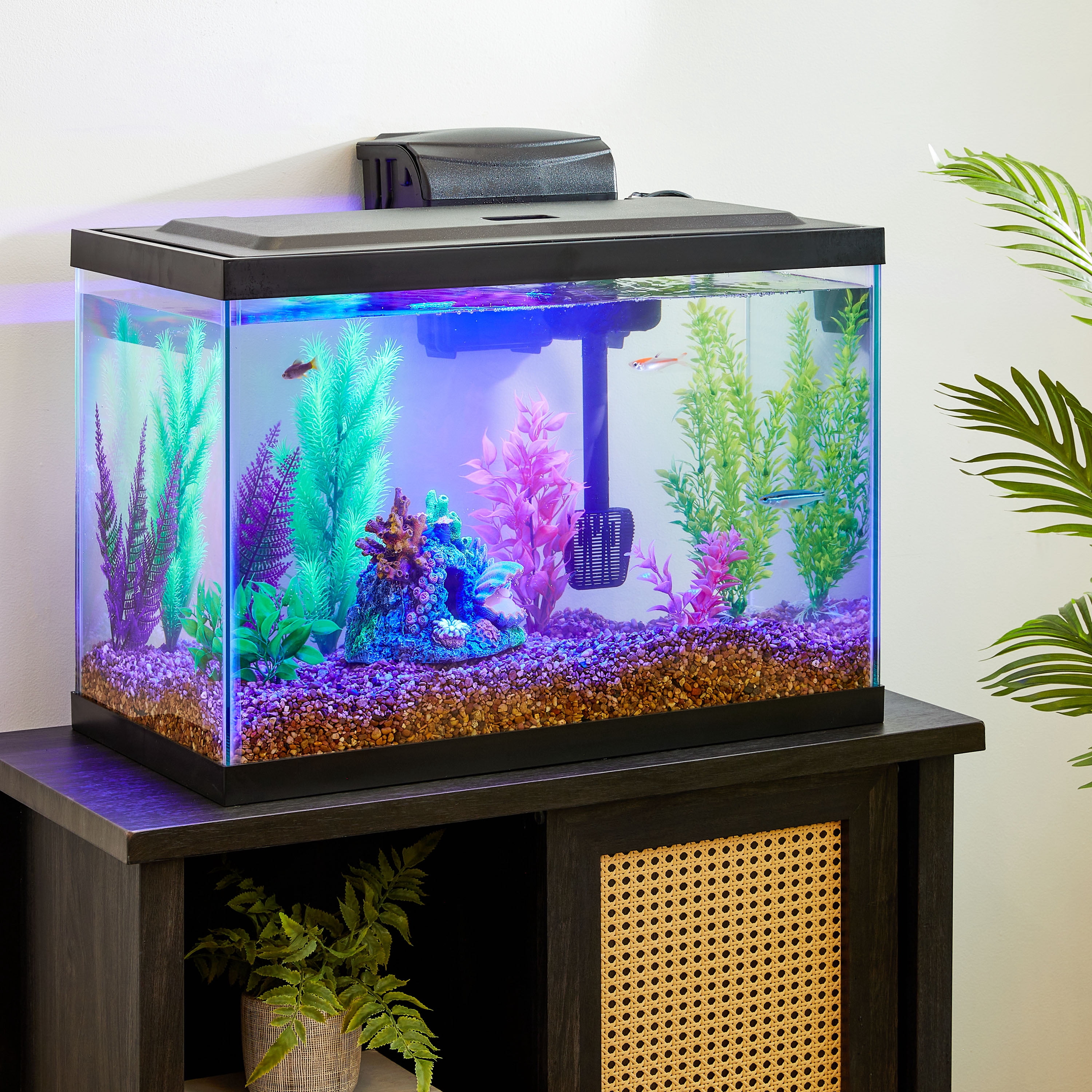 Vibrant Life 20 Gallon Aquarium Starter Kit with Blue & White LED Lights