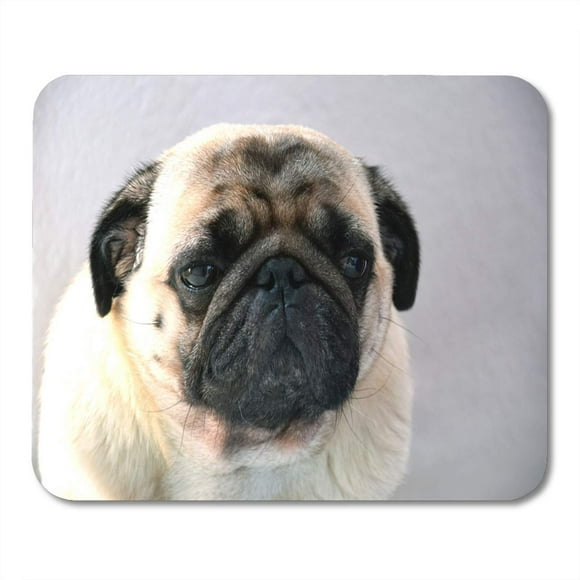 POGLIP Beige Adorable Pug Sweet Sad Dog Big Eyes Mousepad Mouse Pad Mouse Mat 9x10 inch