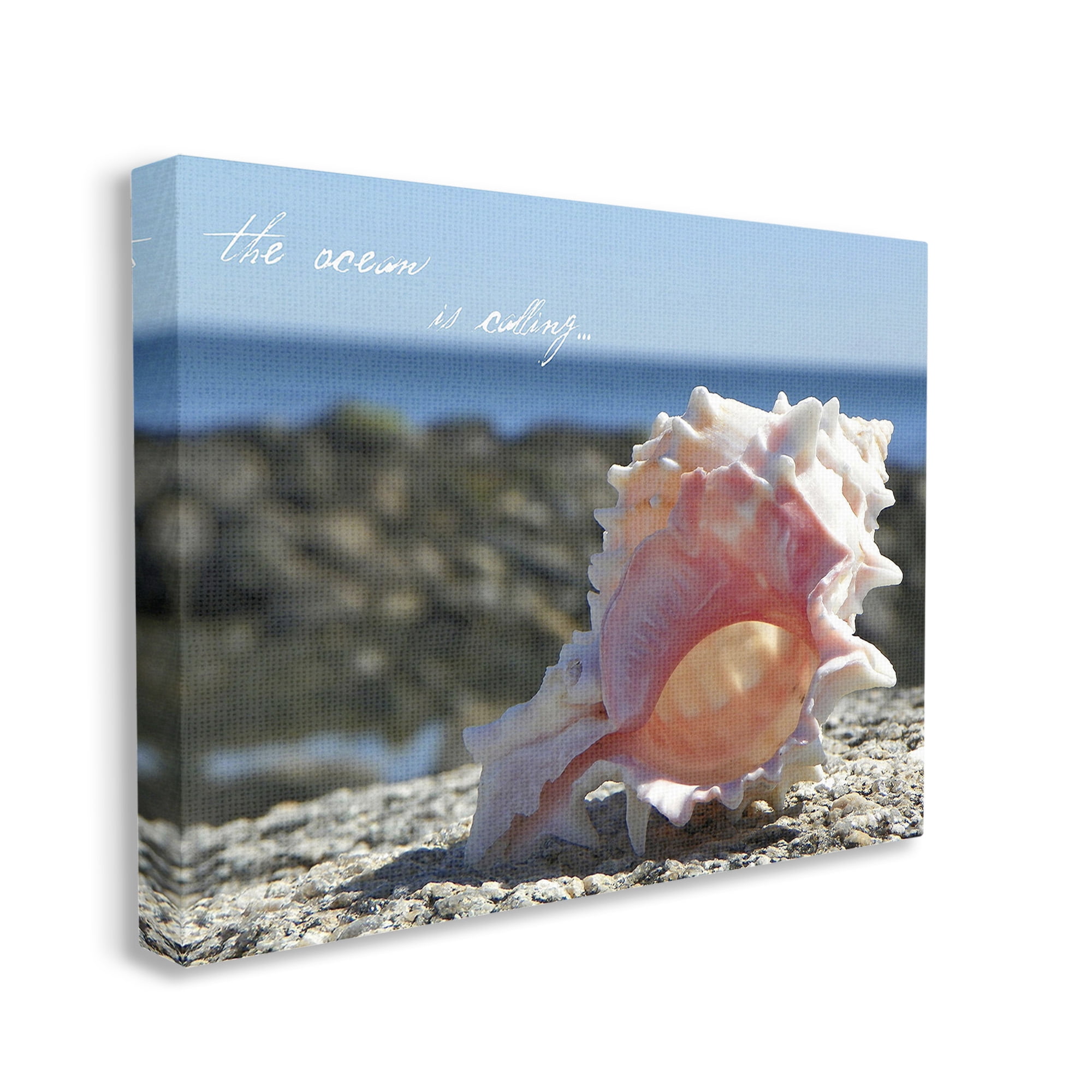 Stupell Industries Ocean Is Calling Conch Typography Photography Gallery Wrapped Canvas Art Print Wall Art, 20 x 16