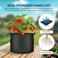 thumbnail image 4 of 7 Gallon 6 Pack Nonwoven Grow Bags, Aeration Fabric Pots with Handles, Heavy Duty Garden Grow Pots for Tomato Vegetables Flowers, 6 Plant Labels, Black, 4 of 11