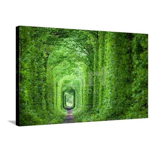 Wonder of Nature  Real Tunnel of Love, Green Trees and the Railroad, Ukraine, Scenic Stretched Canvas Wall Art by Taiga Sold by ArtCom
