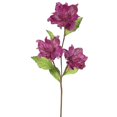 thumbnail image 1 of Mauve Magnolia X3 Fleur&44; 33 & 4 Po., 1 of 1