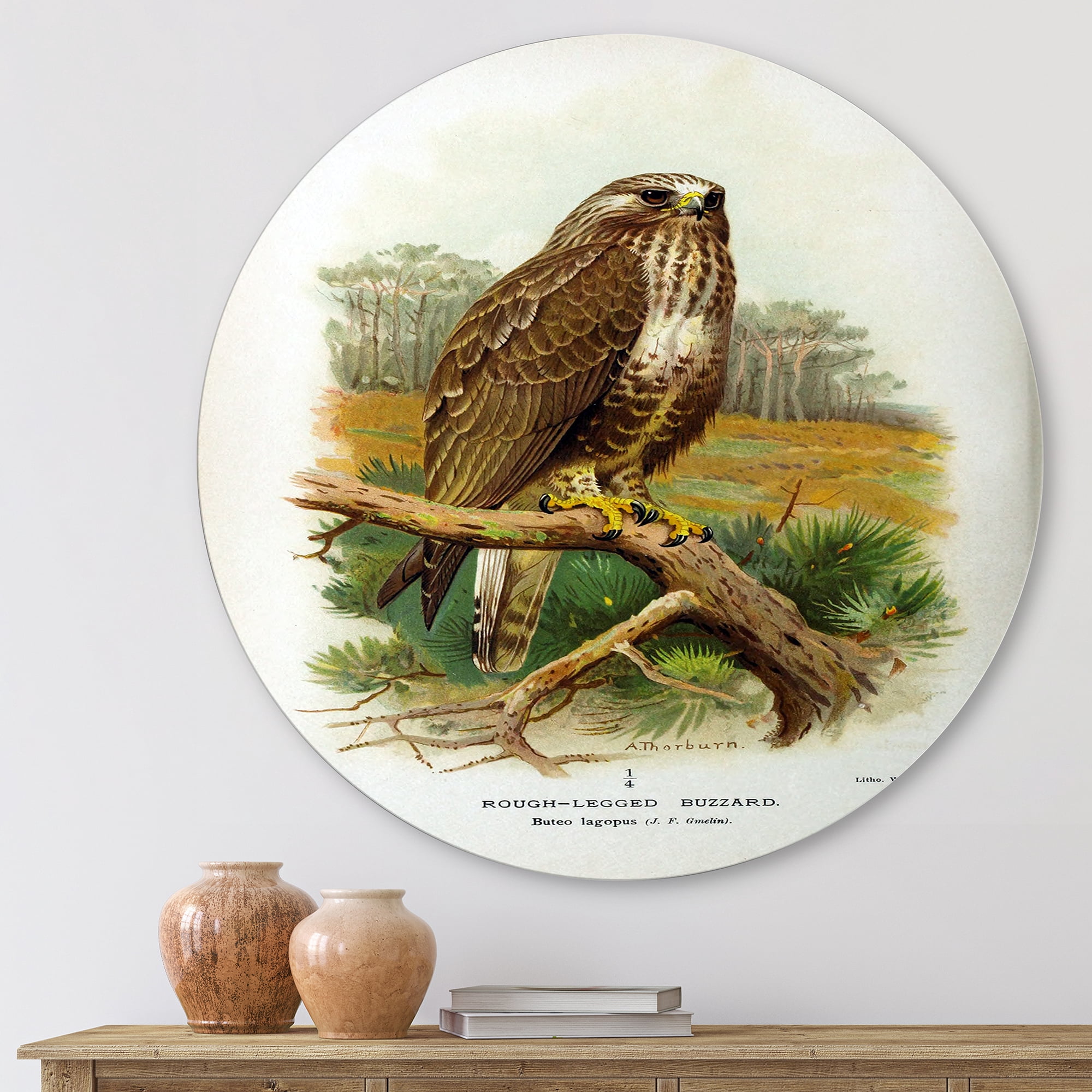 Designart 'Ancient Bird Life IX' Traditional Circle Metal Wall Art 11x11 - Disc of 11
