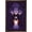 Bronze Framed Version, variant on Disney Princess - Snow White - Good vs Evil Wall Poster, 14.725" x 22.375", Framed