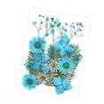 thumbnail image 3 of KLKCMS Dried Pressed Flowers Craft Making Beautiful Real Dried Flowers for Scrapbooking Blue, 3 of 9