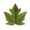 H, variant on Artificial Maple Leaves, 50-Piece Pack, Cloth Loose Fall Foliage for Fall Crafts, Table Decor, Wreath Making, and Thanksgiving Parties, Style E