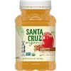 Santa Cruz Organic Cinnamon Apple Sauce -- 23 Oz