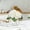 white, variant on Artificial White Hydrangea Flowers in Glass Vase – Realistic Silk Bouquet, Lifelike Bendable Stems, Faux Water, Elegant Centerpiece for Home Decor, Office, or Wedding Arrangement (White)